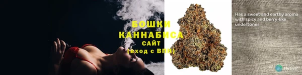 PSILOCYBIN Белокуриха