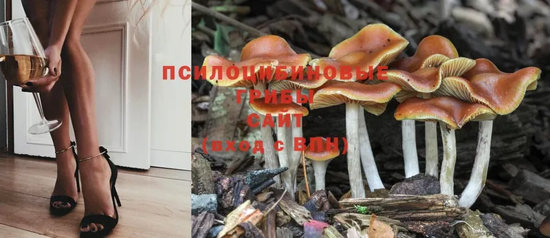 Галлюциногенные грибы MAGIC MUSHROOMS  Лагань 